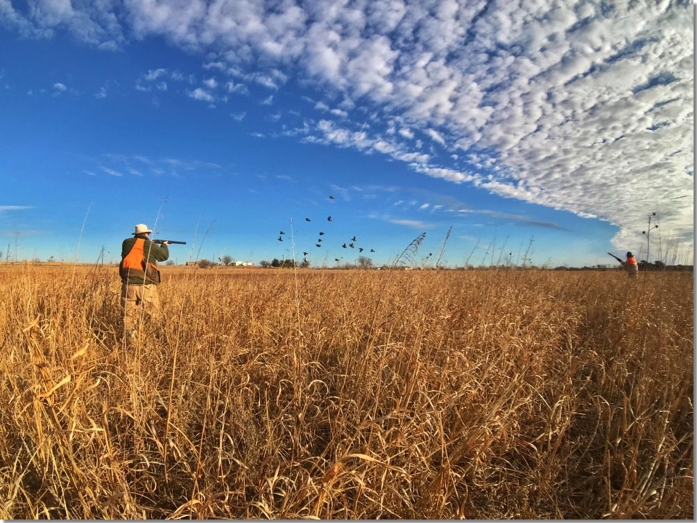 Episode 7: 2019 – 2020 Quail Hunting Season:  What’s Ahead?
