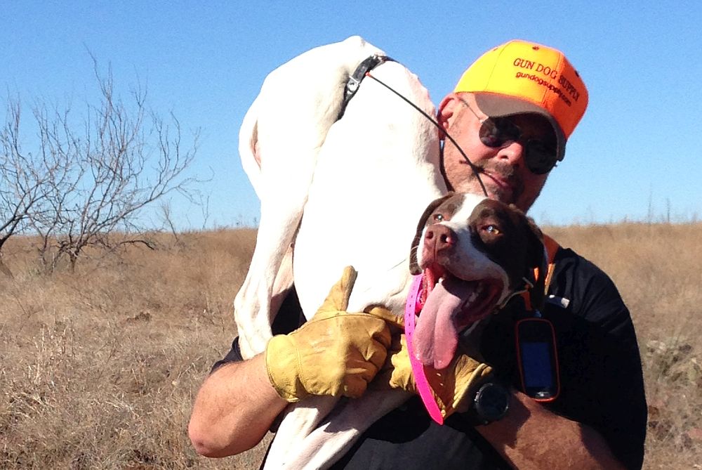 Episode 41 – Gun Dog Supply’s Steve Snell