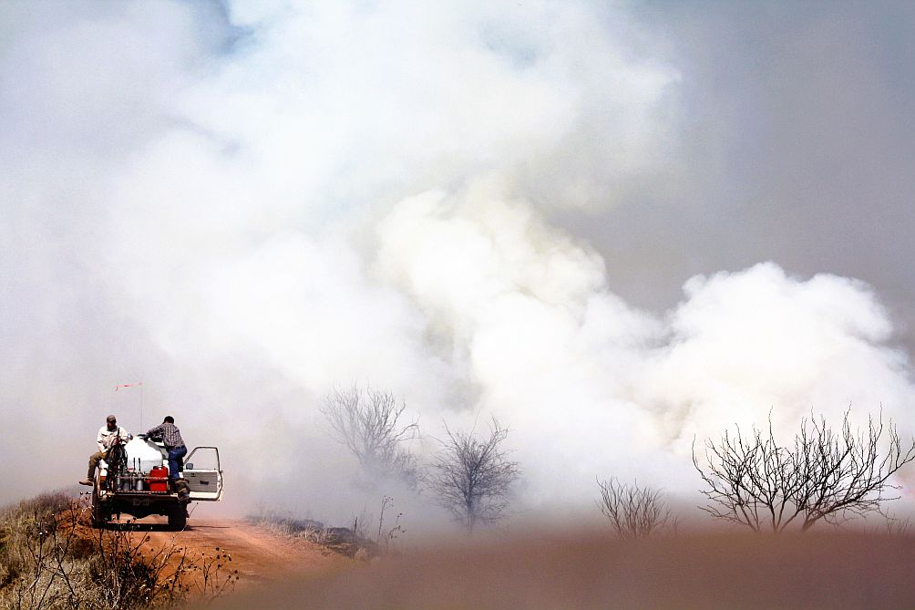 Episode 61 – Quail Recovery Following Large-Scale Wildfires