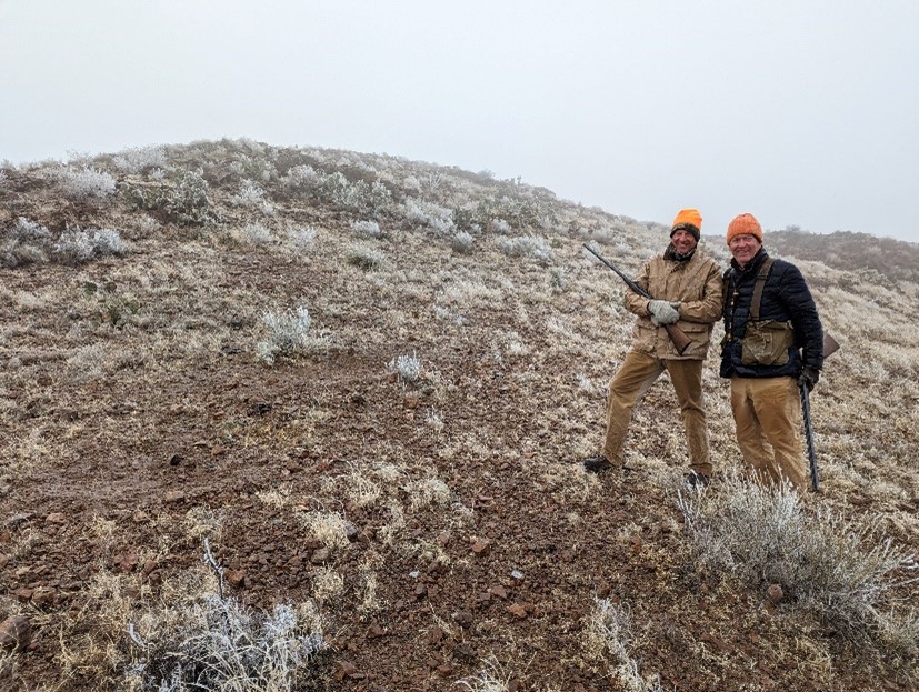 Leveraging Changing Weather Patterns: A Potential Boon for Quail Populations by